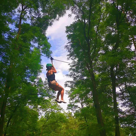 Otel Narvil Conference & 4*