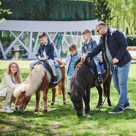 Narvil Conference & Otel 4*