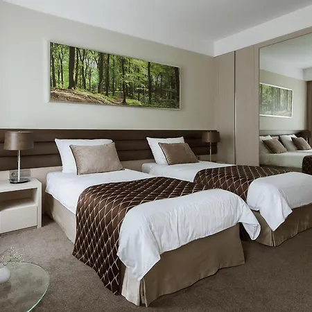 Narvil Conference & Spa 4*
