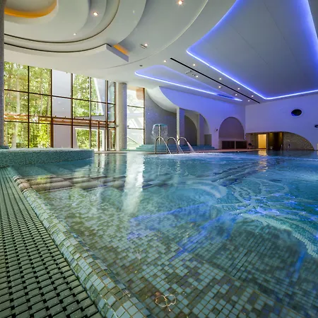 Hotel Narvil Conference & Spa 4*
