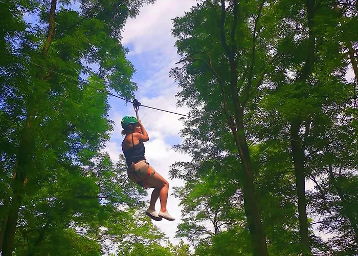 Hotel Narvil Conference & 4*