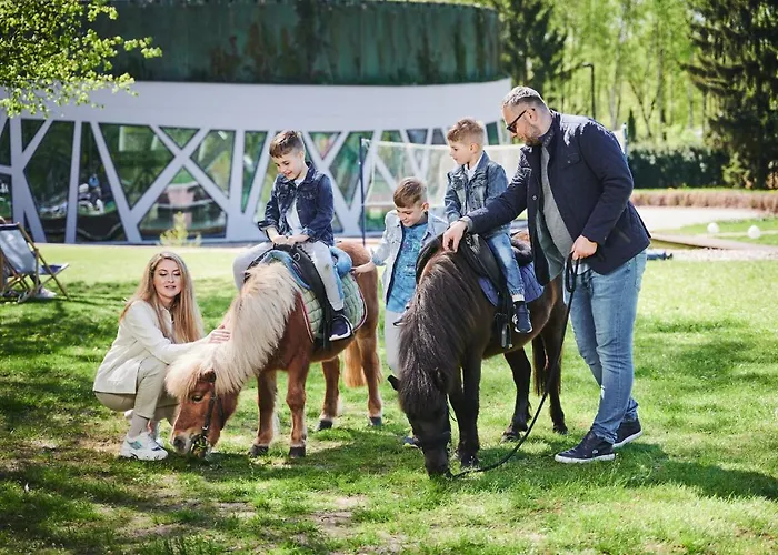 Narvil Conference & Hotel 4*