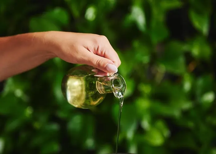 Narvil Conference & 4*