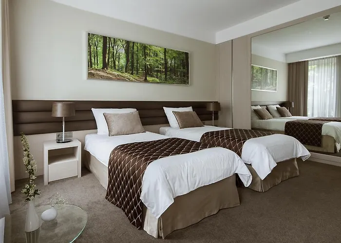 Narvil Conference & 4*