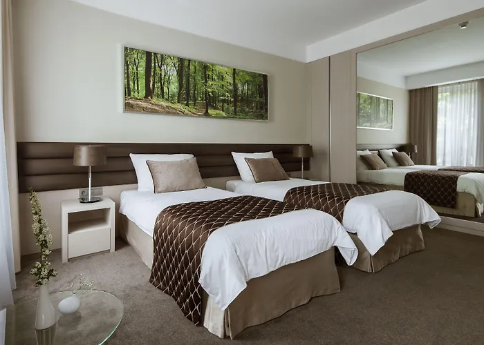 Narvil Conference & 4* Serock