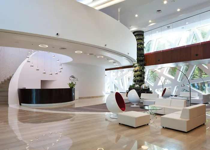 Narvil Conference & 4*